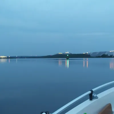 Rosomak